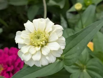 Reflection | Mindful Motivation