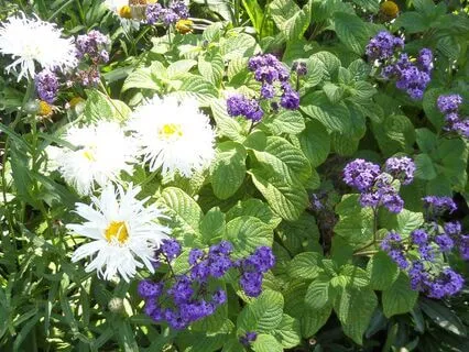 Reflection On Self Compassion