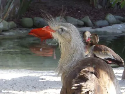 Reflection On Becoming The Best Version Of Ourselves