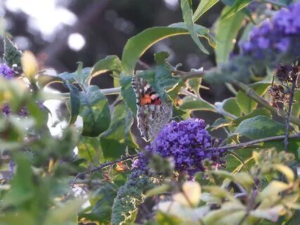 Reflection On Change & How To Live With It