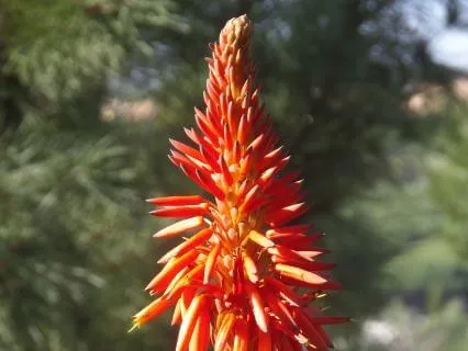 Reflection On Connecting With Our Intuition