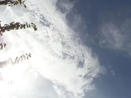 Reflection On How To Let Go Of What No Longer Serves Us