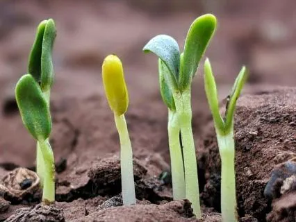 Reflection On Motivation