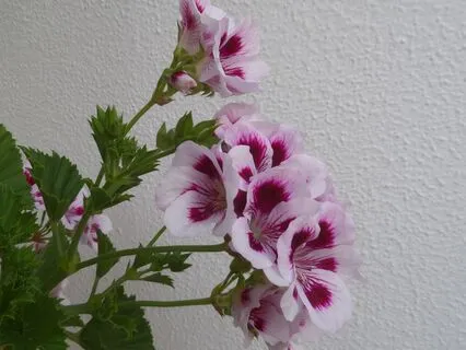 Reflection On Navigating Change