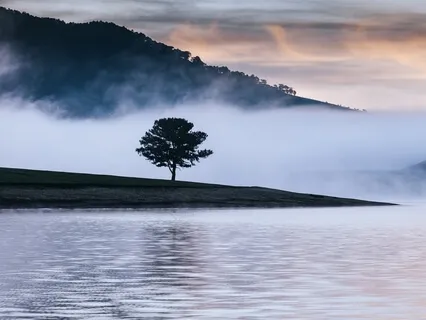 Reflection On The Chakra Meditations Inspired By Avatar The Last Airbender