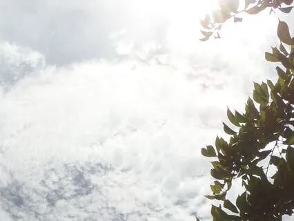 Reflection On The Quiet Power Of Hope