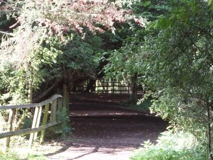 Reflection On Wisdom - A Choice Not Guaranteed