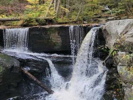 Reflections: Affirmations For Anxiety Reduction