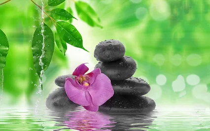 Reflections And The Dreamwalker