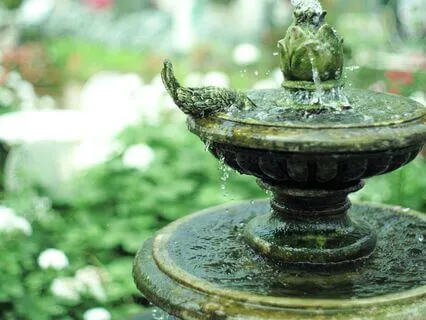 Reflections In A Monastery Garden