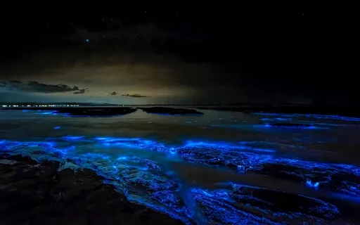 Reflections In The Water -Piano & Ocean Waves For Sleep