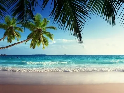 Reflections of Light