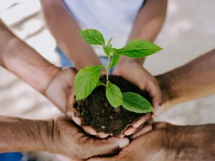 Reflections On Earth Day