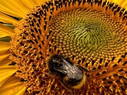 Reflections On Grief And Love - July 12