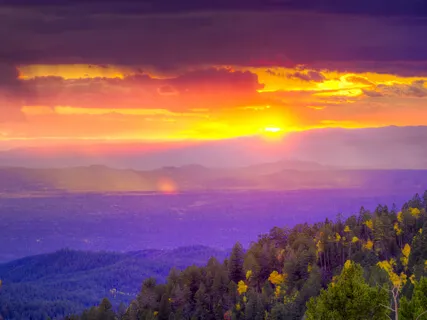 Reflections On Love & Healing 