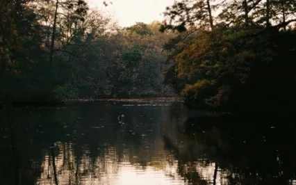 Reflections On Still Water 