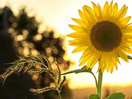 Reflections Under The Full Moon - 5 Minute Breather