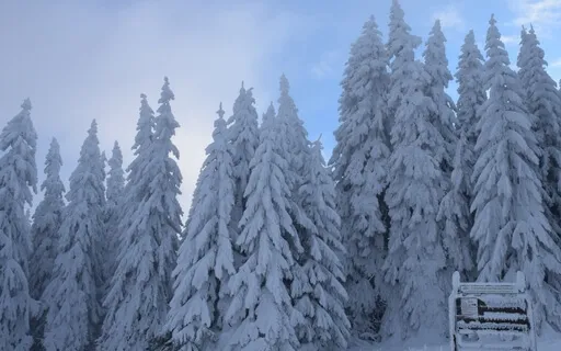 Reflective Ambience For New Year's Eve: 11:11 Meditation 