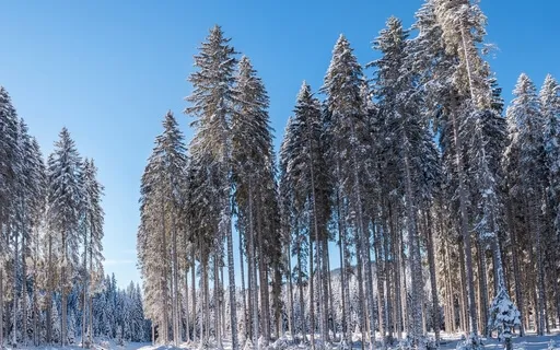 Reflective Ambience for New Year's Eve: Cinematic Textures