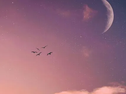 Reflective Discovery