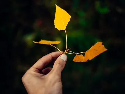 Reflective Piano Meditation – Moving Through Grief