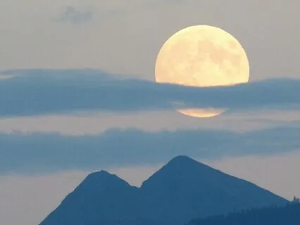 Reflector Meditation (Human Design)