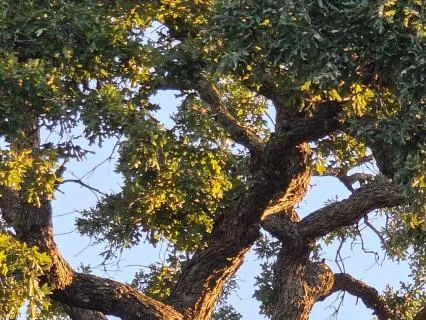 Refocusing Your Viewfinder: The Beauty You May Be Missing