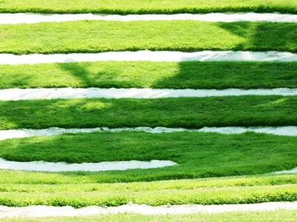 Reframe Irrational Thinking