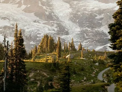 Reframed Understanding Of Abandonment • No Music