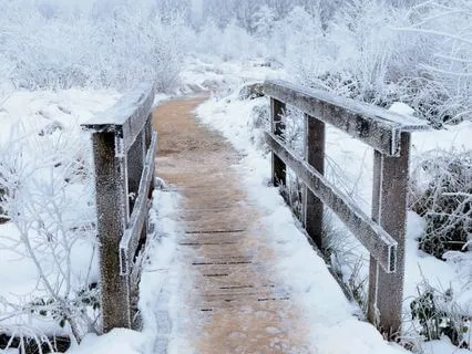 Reframes For The Winter Blues