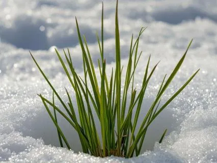 Reframing Challenge As Opportunity