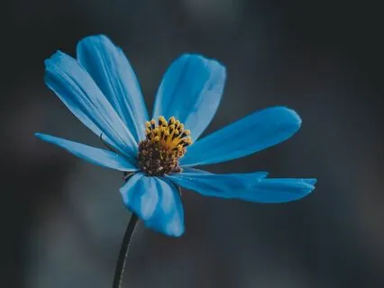 Reframing The Concepts Of Time & Wealth With Jay Shetty