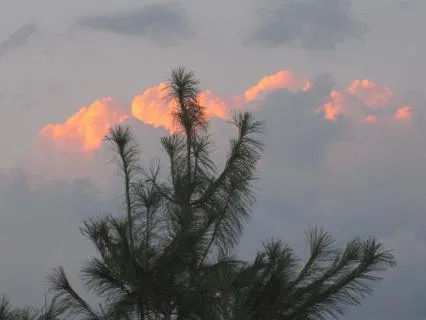 Caregivers Self-Care Refresh!