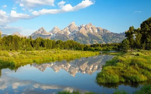 Refresh Your Connection To Source