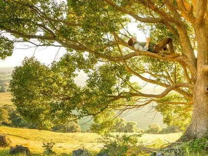 Refreshing Ambience, Musical Retreat