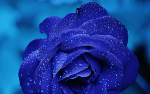 Refreshing Body Scan