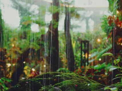 Refreshing Rain Energy Reset