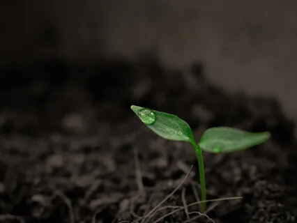 Refuge In Grief With Megan Devine