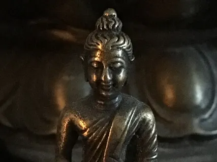 Refuge Recovery Mentor Training 