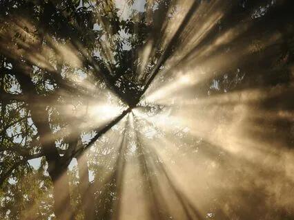 Refuge: Where We Can Rest