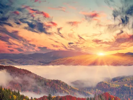 Refuse To Carry The Burden