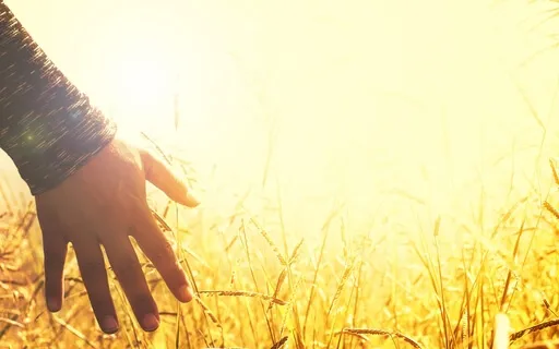 Regain Time & Energy With Meditation