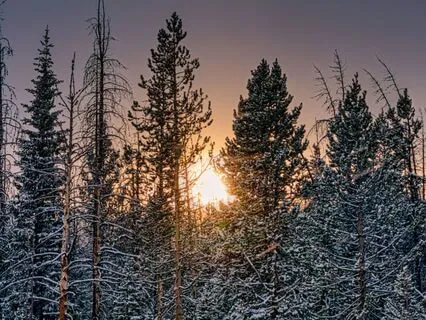 Regaining A Sense Of Control