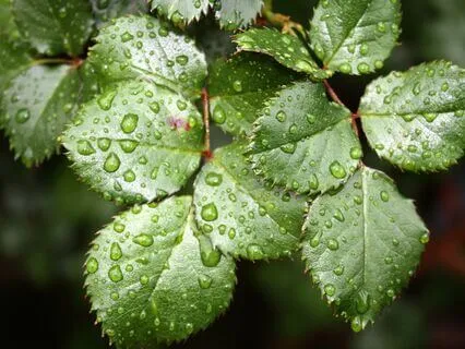 Regaining Control In Anxious Times