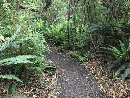 Regaining Focus And Going Back To Your Path