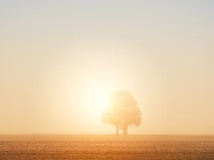 Regaining Harmony As Revitalized Light