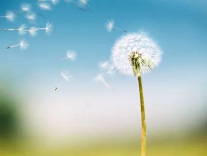 Regenerate And Align Every Cell With Source Energy