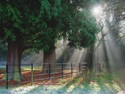 Regenerating And Healing Meditation