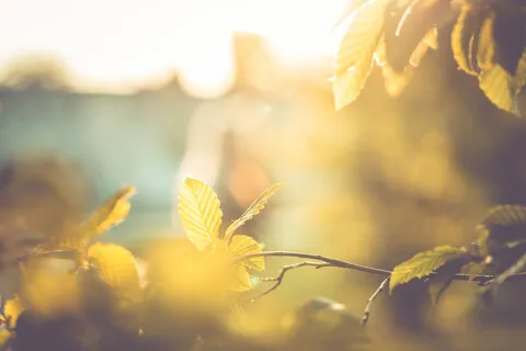 Reggeli meditáció nehézségek leküzdéséhez