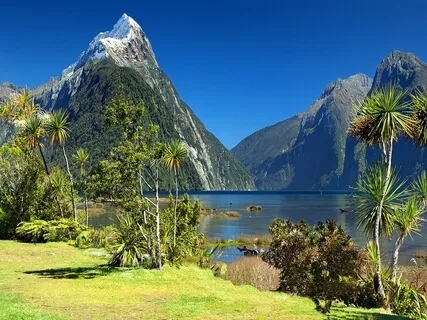 Understanding IFS: How Self Leadership Works & A Yoga Nidra Practice